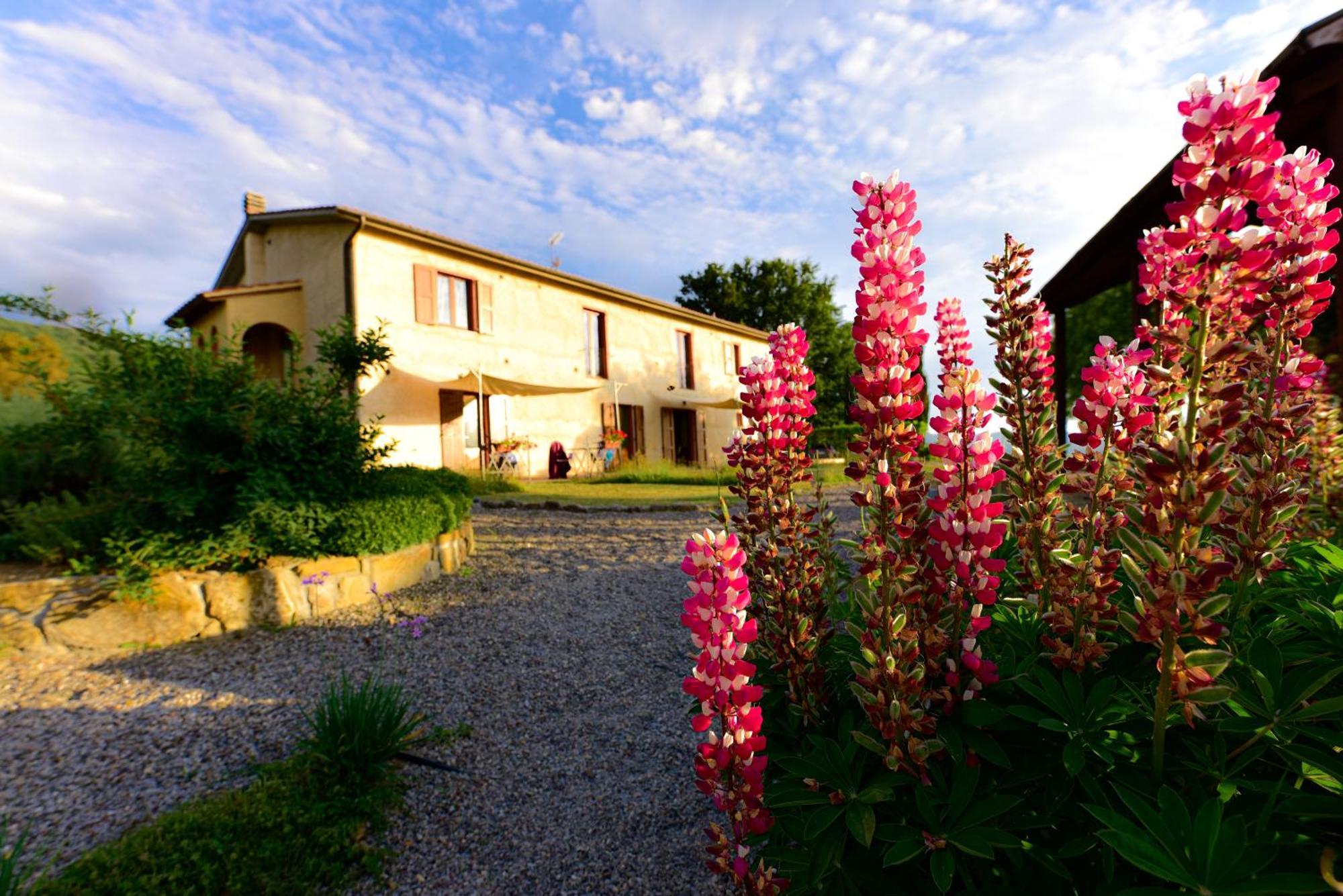 Agriturismo Le Casaline Seggiano Kültér fotó