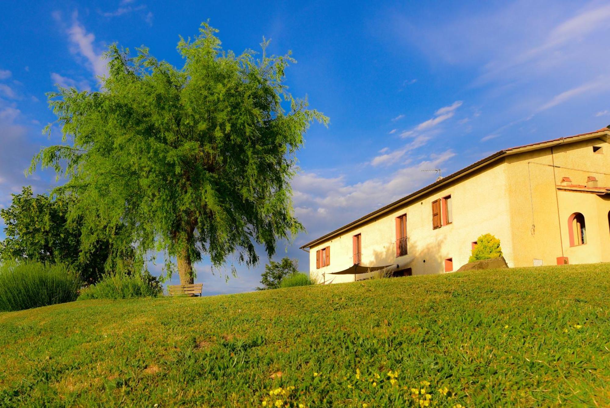 Agriturismo Le Casaline Seggiano Kültér fotó