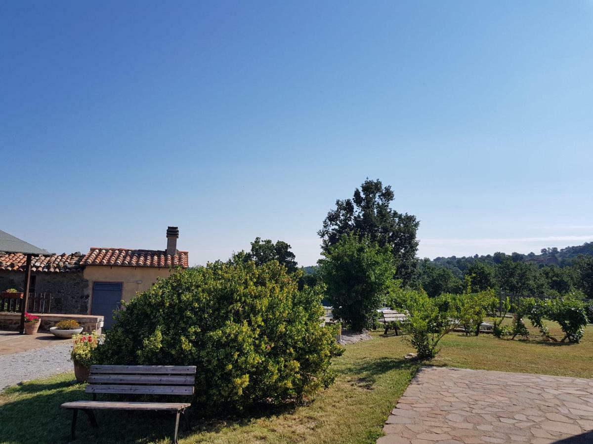 Agriturismo Le Casaline Seggiano Kültér fotó