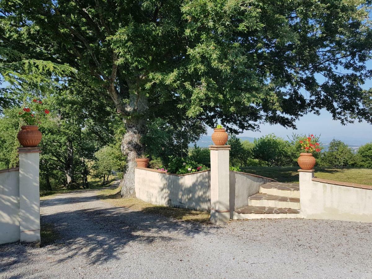 Agriturismo Le Casaline Seggiano Kültér fotó
