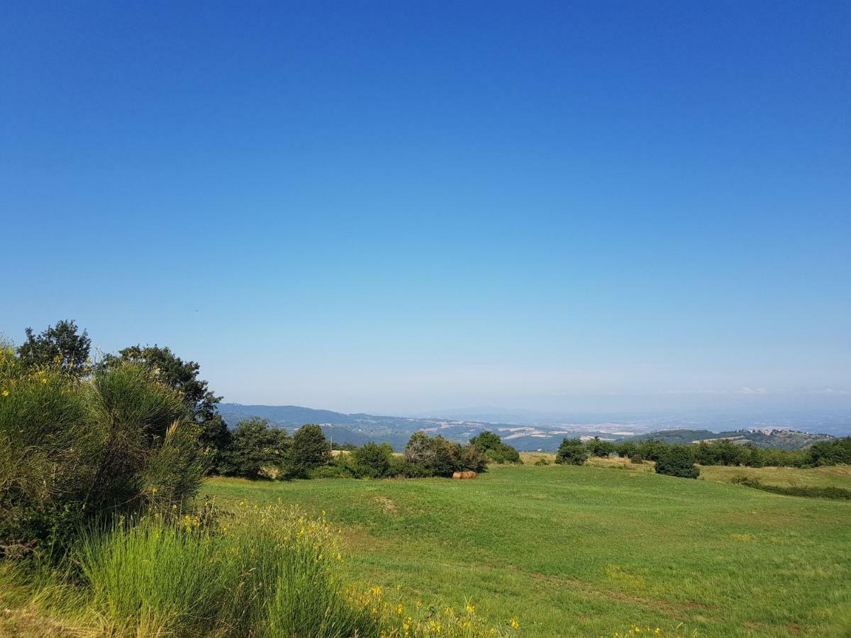Agriturismo Le Casaline Seggiano Kültér fotó